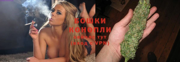 эйфоретик Грязовец