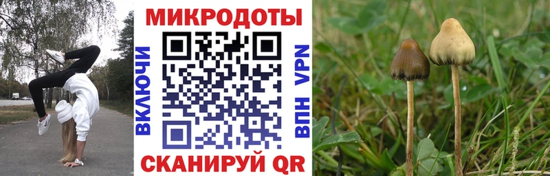 Псилоцибиновые грибы мицелий  это Telegram  Карталы  что такое наркотик 